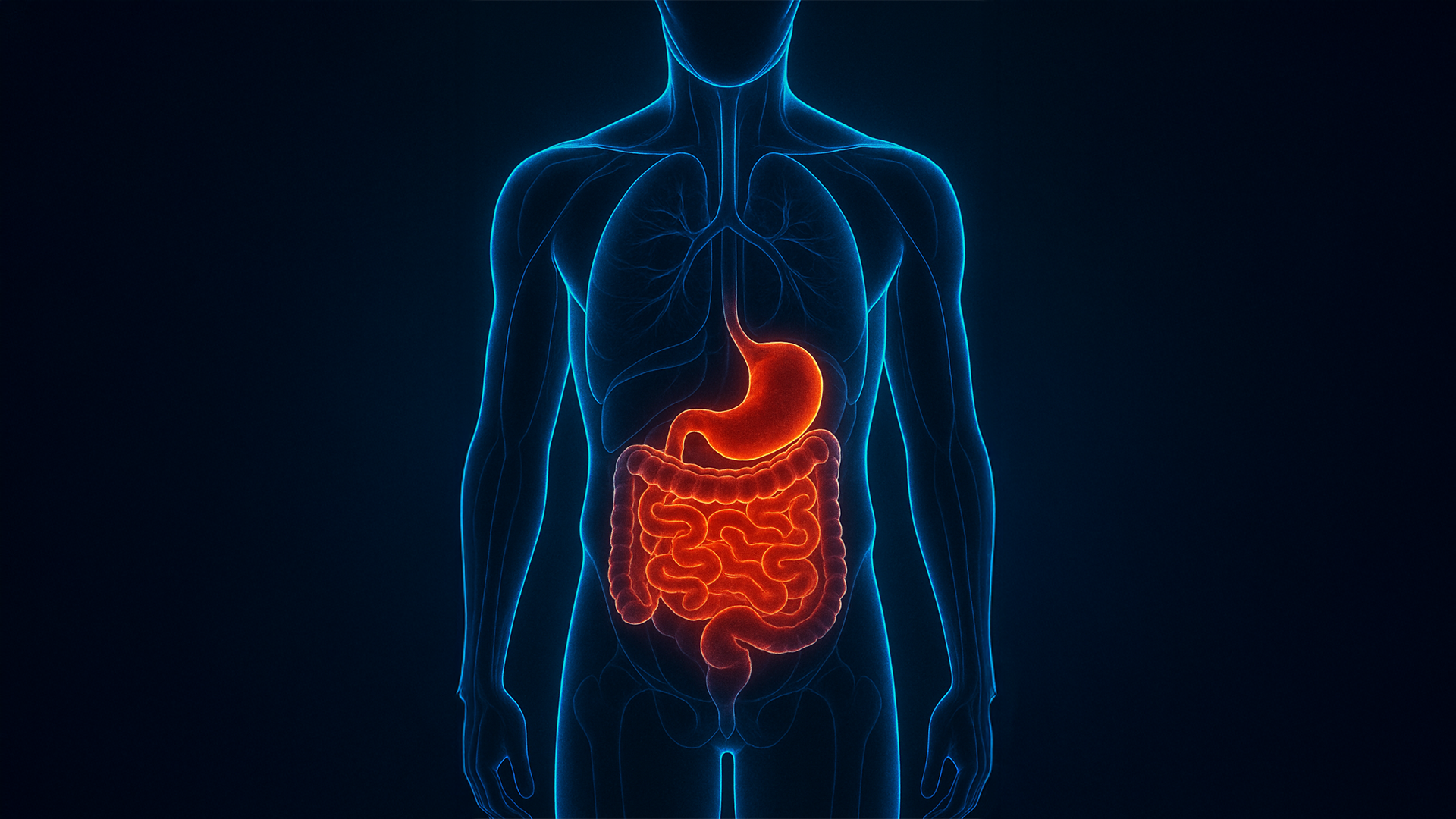 Dr. Jo Chen’s Secrets to a Healthy Digestive System
